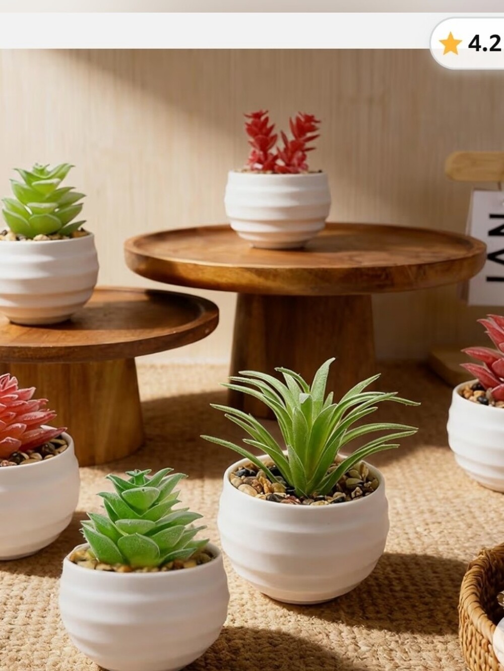 $8 Bundle Item. NEW IN BOX. 6 Mini Faux Succulents